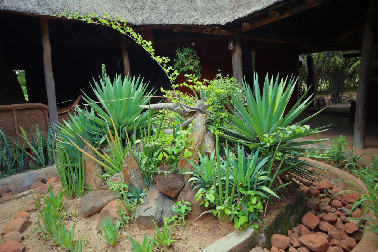 Munga Eco-Lodge Livingstone Exteriér fotografie