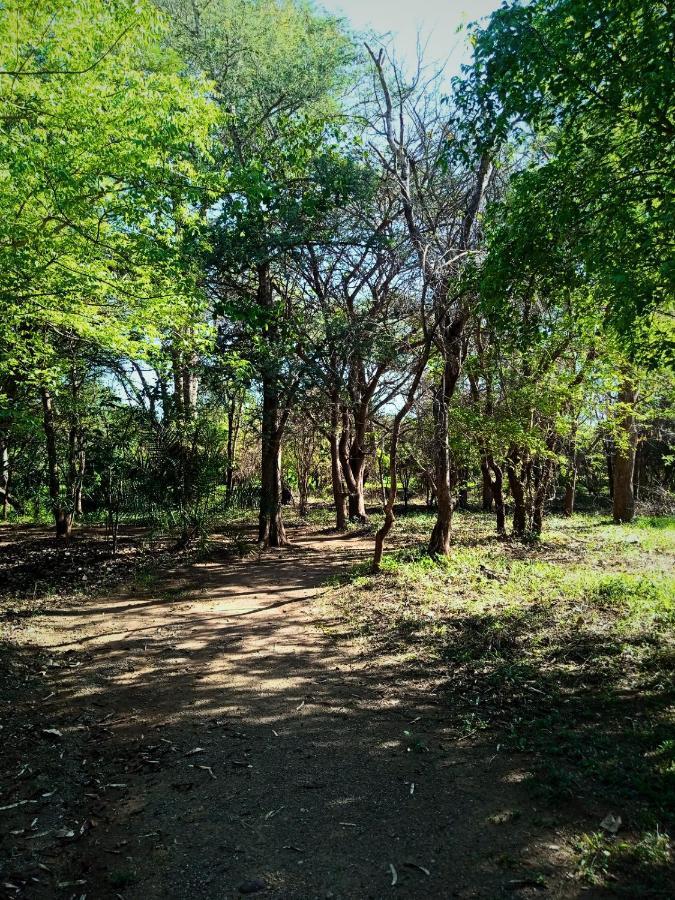 Munga Eco-Lodge Livingstone Exteriér fotografie
